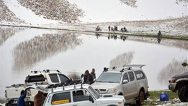 Kurbağalara zarar verene 41 bin lira ceza