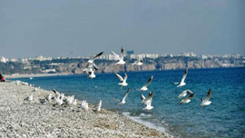 Bayram turizmcilerin umudu oldu!