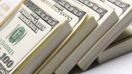 Bunu yapana 500 bin dolar ödül!