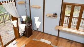 Hayvansever çift evlerini kedi sarayı yaptı