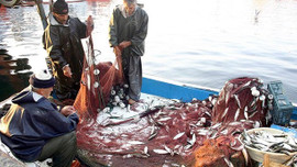 Vira Bismillah için gün sayıyoruz! Av yasağı 1 Eylül'de bitiyor!