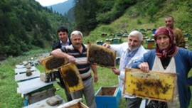 Altının yeni rakibi belli oldu! Almak isteyenler 1 yıl bekliyor
