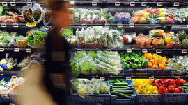 Rusya, Türkiye’den gıda ürünleri alımı koşullarını açıkladı