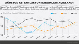 Fiyat artışları (2)