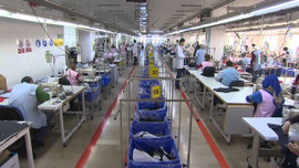 Devir tersine döndü! Şehirden köye göç edene destek