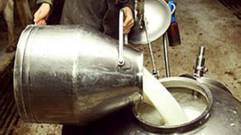 Artık herkes süt satamayacak