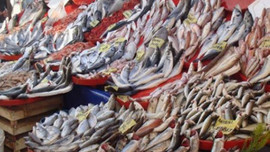 Fırtına balık tezgahını vurdu! Fiyatlar arttı