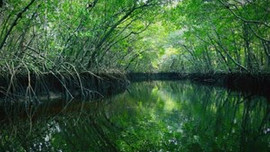 İşte huzur bulacağınız dünyanın en ünlü doğa parkları!