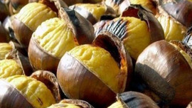 Tam 62 bin ton... Avrupa'da lideriz!