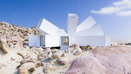 Böyle ev görülmedi! Ağaçtan esinlenildi