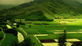 Taşınmaz satışından 7 milyar gelir bekleniyor!