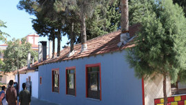 Restoran yaptı ağacı içinde bıraktı!