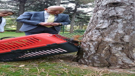 Yaralı sincap tedavi edilerek doğaya salındı