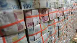 BES 14 yılda devleşti