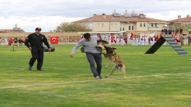 29 Ekim Cumhuriyet Bayramı
