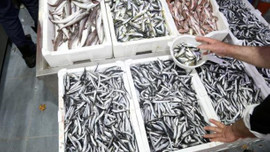 15 liradan 5 liraya düştü!