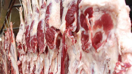 Ucuz et satışı başlıyor!