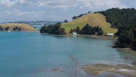 Dev ada 10 milyon dolara satılacak