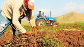 Çiftçilere 918 milyon TL’lik destek ödemesi!