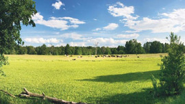 İBB'den yatırımcıya fırsat!