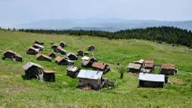 Bakanlık harekete geçti! Koruma altına alınıyor