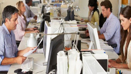 Ekonomi canlandı istihdam arttı