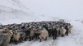Ovit Tüneli kontrollü olarak ulaşıma açıldı