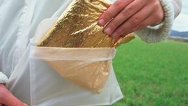 Bu insanlar evlerini cebinde taşıyor