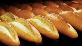 Ekmekte GDO çıktı!