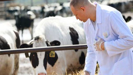 İşte en çok eleman alan meslek grubu!