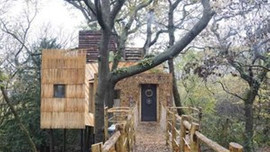 Dünyanın en lüks ağaç evi!