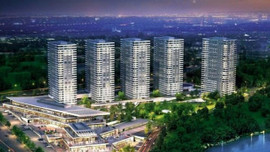 Kaşmir Mavi Orkide: Yeni proje! Ön talepler toplanıyor!