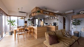 Kediler için tasarlanan muhteşem daire