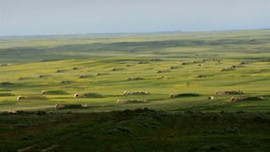 Sığınağa dönüşen askeri depolar görenleri şaşkına çevirdi
