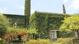 Adana'nın Köprüköy Camisi yeşile büründü!