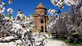 Tarihi Akdamar Adası çiçeklerle hayat buldu