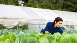 Genç çiftçiye 483 milyon TL hibe