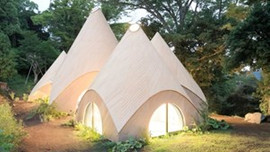 Japonya'da emekli kadınlar bu evlerde yaşıyor!