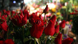 Çiçek sektörüne 'Anneler Günü' dopingi