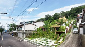 Hobbit evlerinden ilham alındı görenleri şaşkına çeviriyor