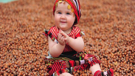 Türkiye'den rekor fındık ihracı