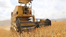 Genç çiftçiler için kritik gün 5 Mayıs!