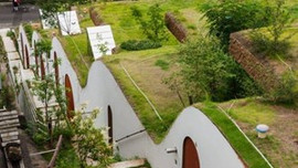 Japon mimardan mini yeşil site