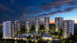 Kaşmir Yonca: Yeni proje! Ön talep toplanıyor!