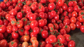 Fiyatı 10 liradan 30 kuruşa kadar düştü