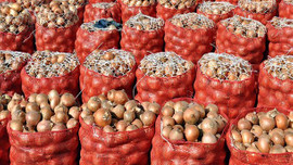 Fiyatı tarladan uçarak geliyor!