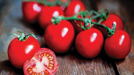 Domates fiyatlarında düşüş sinyali!