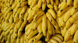 Yerli muz fiyatında rekor yükseliş