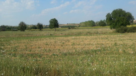 TOKİ'den kaçırılmayacak fırsat!