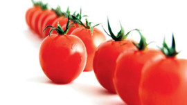 Domates ambargosuna yeşil ışık